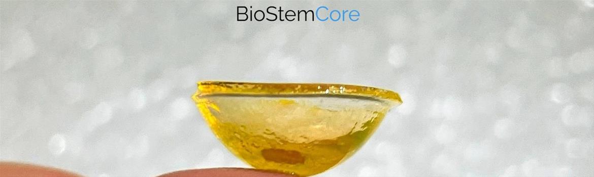 BioStemCore'dan 2 yeni TÜBİTAK 1001 Projesi